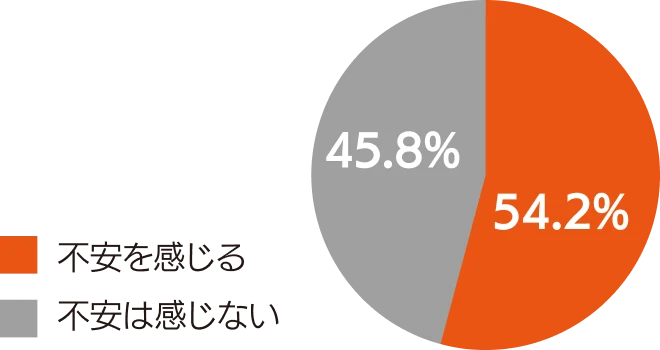 自動車盗難について不安を感じますか？